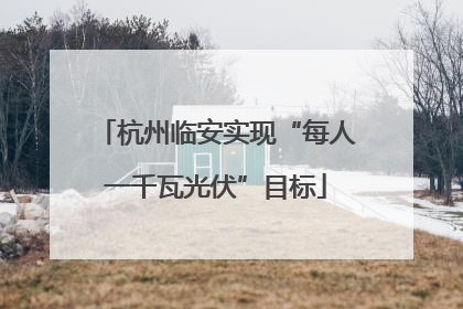 杭州临安实现“每人一千瓦光伏”目标